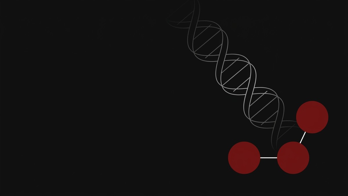 Spartan Peptide