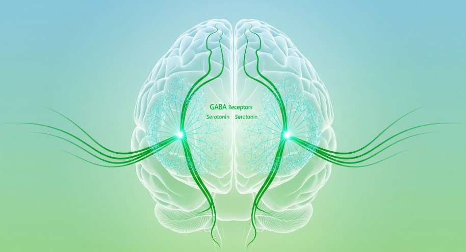 Selank — Anxiolytic and Cognitive Support in One Peptide