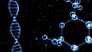 How does the blend work in research?