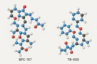 BPC-157 vs TB-500 mechanism comparison — Wolverine stack complementary injury recovery research