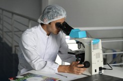 Semaglutide – A Breakthrough Peptide for Weight Loss Management