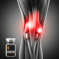 Joint and tendon tissue repair anatomy with peptide research mechanisms highlighted