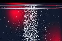 Lyophilized peptide dissolving in bacteriostatic water microscopic visualization