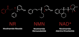 Comparison illustration of NAD+, NMN, and NR molecular structures side by side