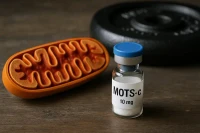 MOTS-c and Mitochondrial Health